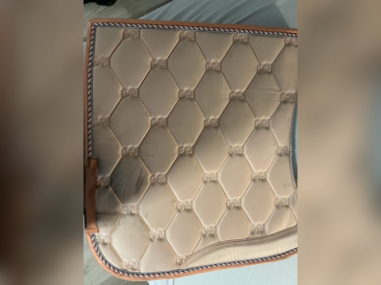 Ps of Sweden Schabracke