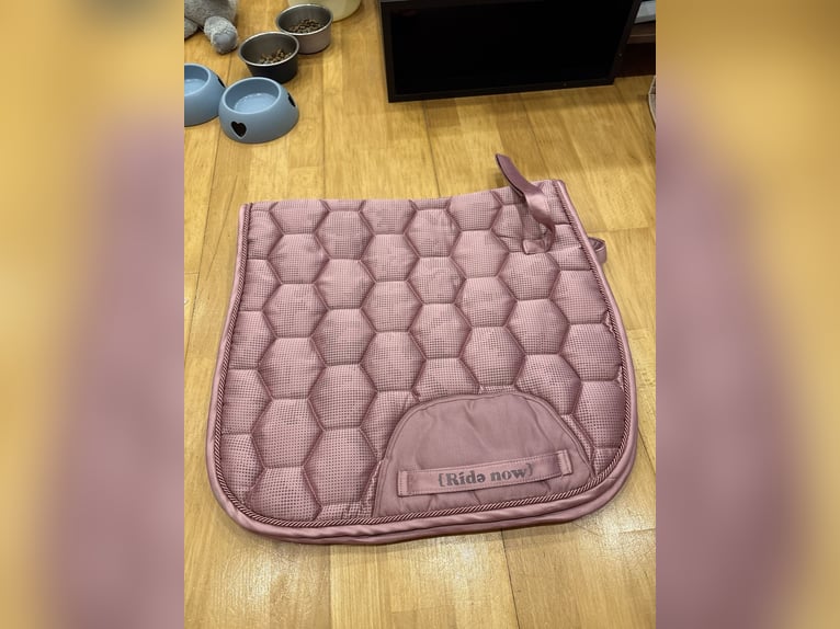 Ride now schabracken set Pony Dressur + Fliegenhaube 