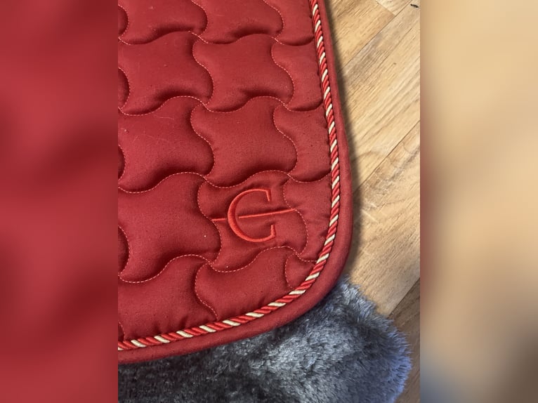 Rote Covalliero Dressur Schabracke