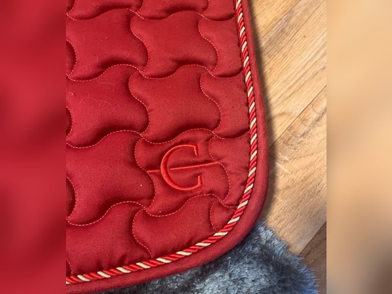 Rote Covalliero Dressur Schabracke