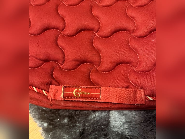 Rote Covalliero Dressur Schabracke