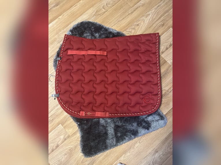 Rote Covalliero Dressur Schabracke
