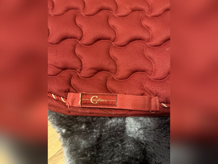 Rote Covalliero Dressur Schabracke