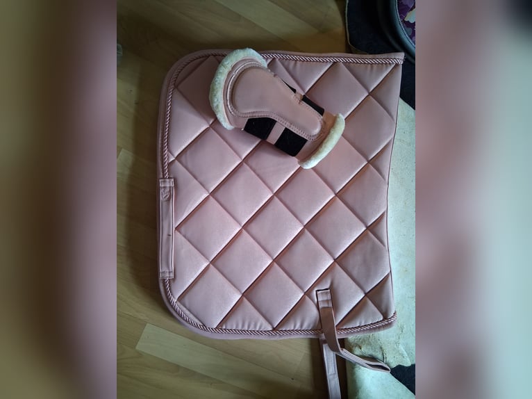 Schabracke Cavallo
