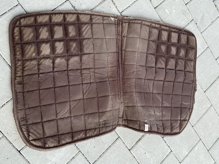 Schabracke DR mit Fliegenohren