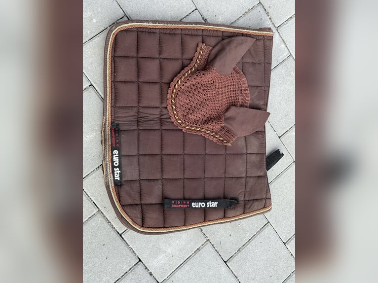 Schabracke DR mit Fliegenohren