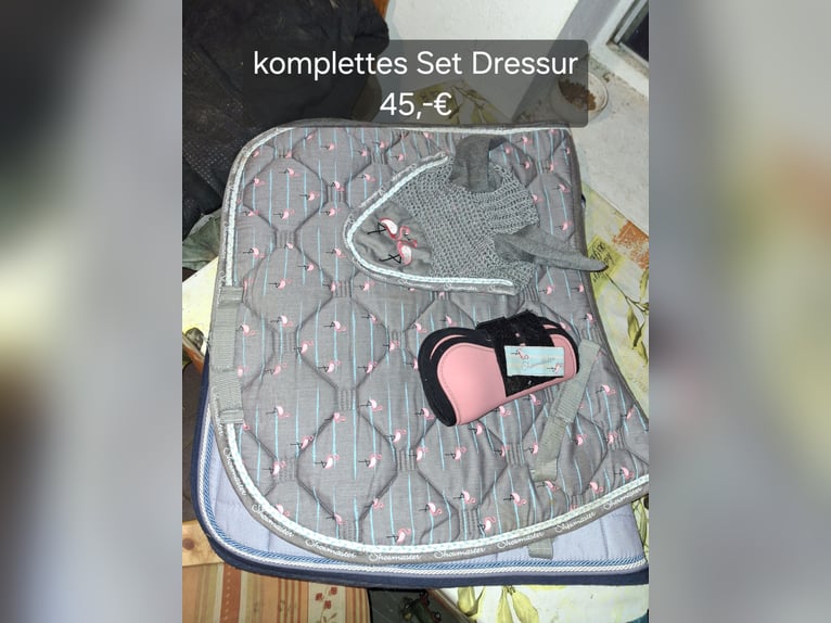 Schabracke Dressur 