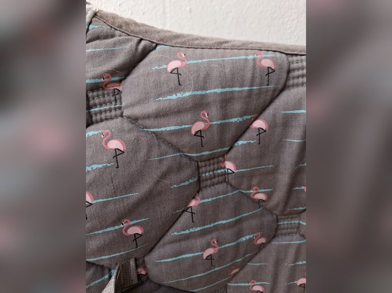 Schabracke Dressur 