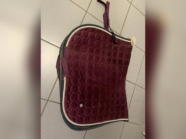 Schabracke in Magenta zu verkaufen