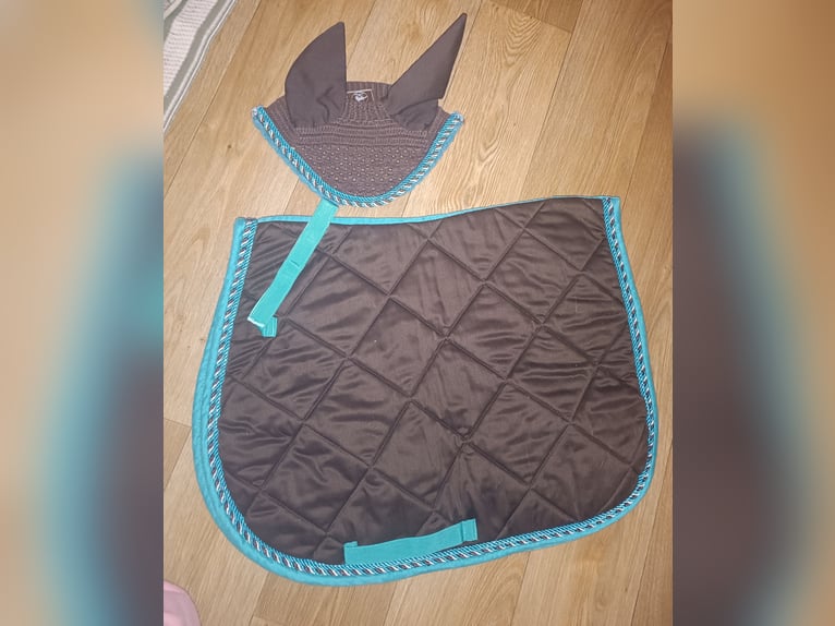 Schabracke VS + Fliegenhaube WB braun/türkis Kordel gesteppt neuwertig Sattelunterlage pferdezubehör