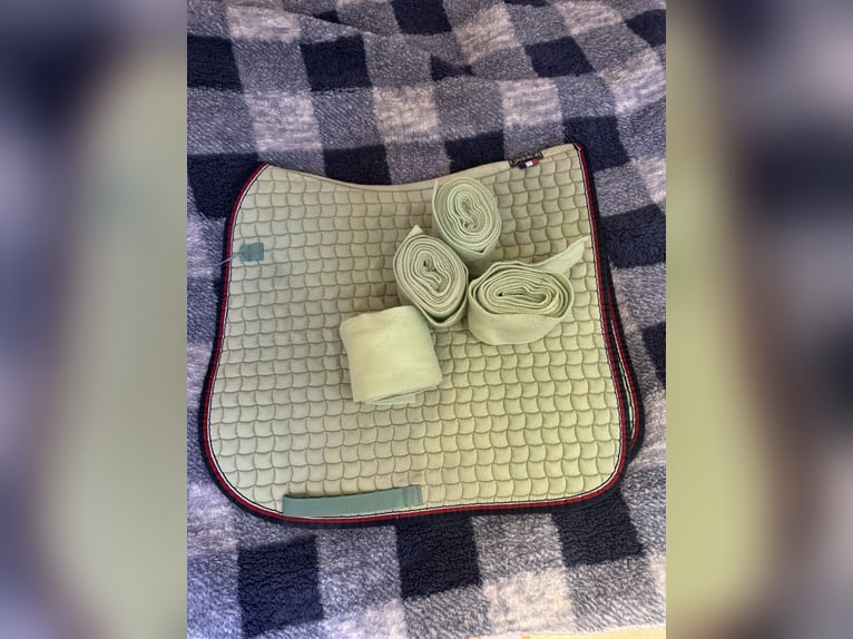 Schabracken von Eskadron