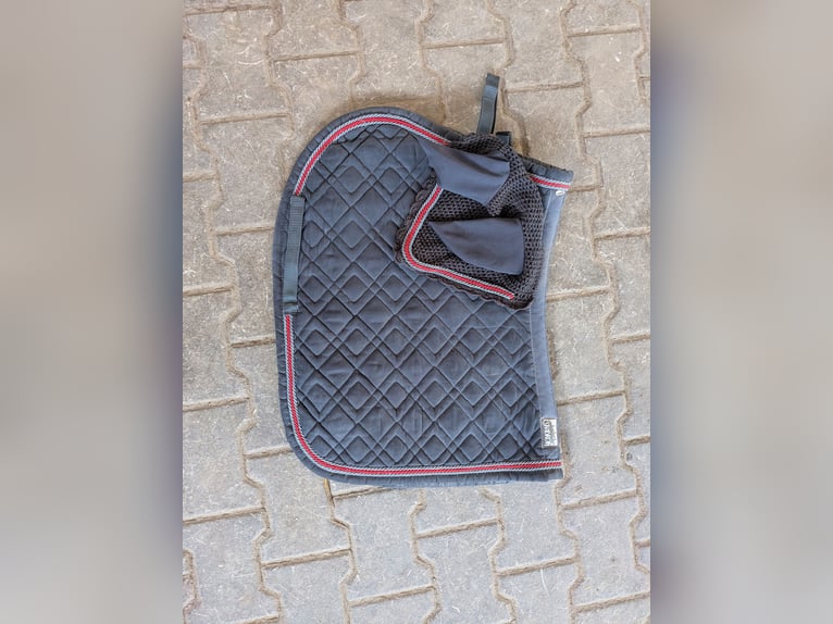 Schabrake mit Fliegenohren Eskadron