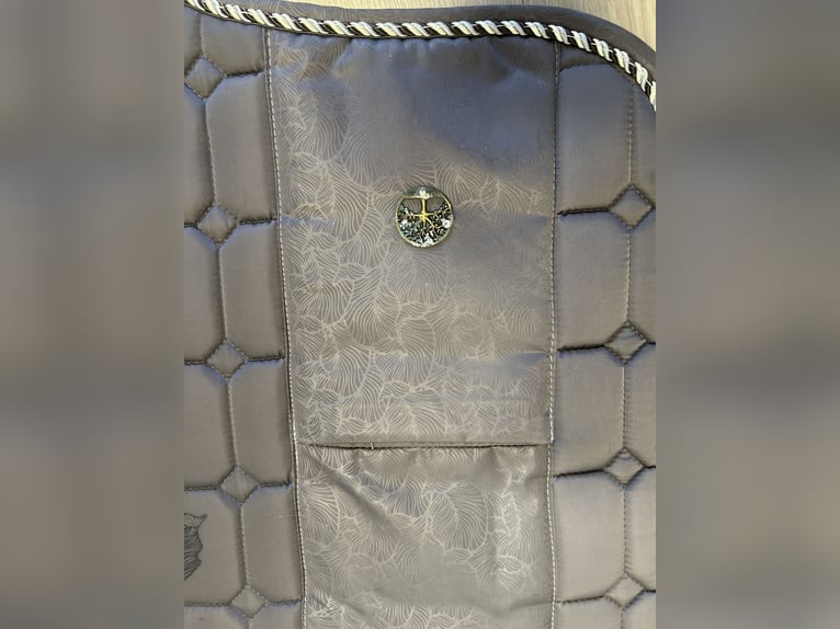 Schöne Felix Bühler Schabracke in „Pony“