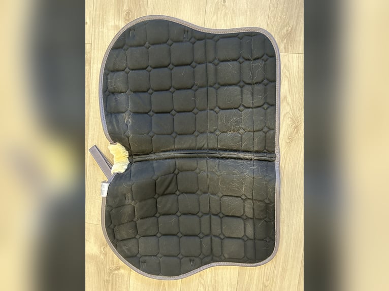 Schöne Felix Bühler Schabracke in „Pony“