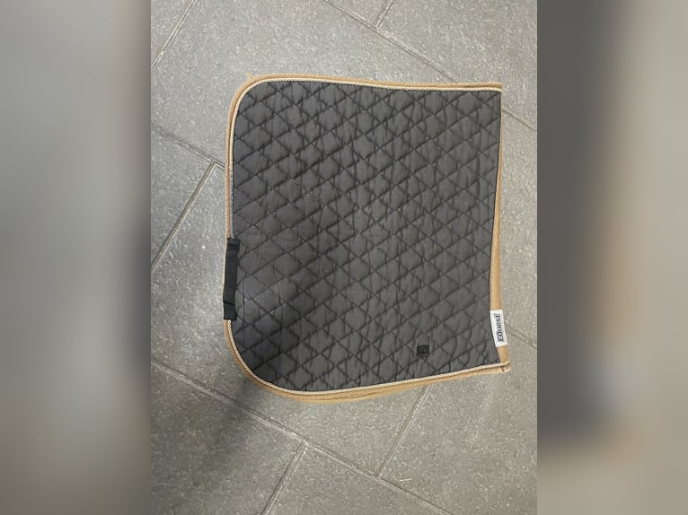 Schwarze Schabracke DL Equest