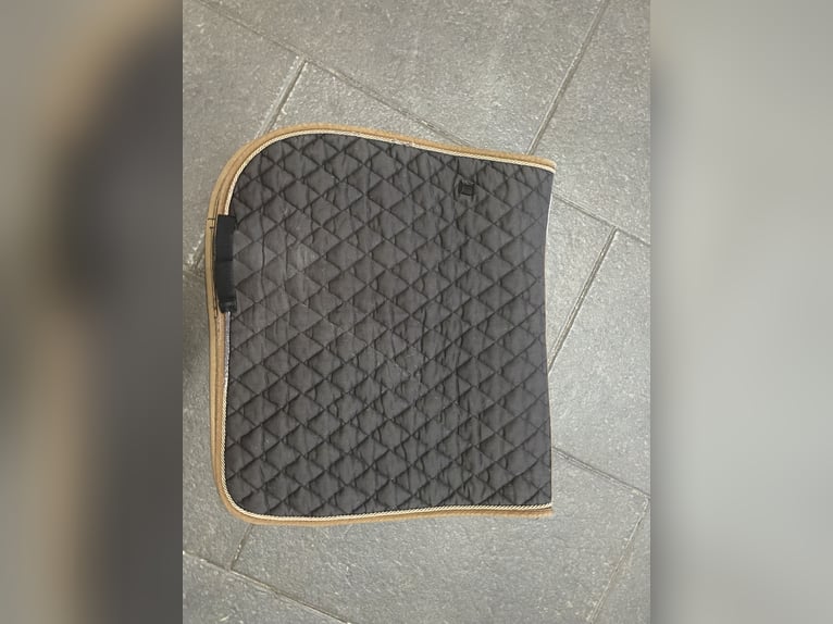 Schwarze Schabracke DL Equest