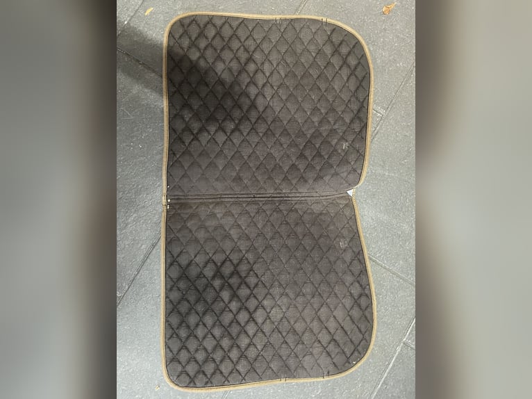 Schwarze Schabracke DL Equest