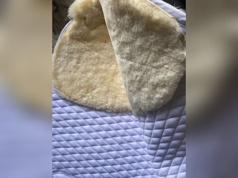 Stübben Schabracke Lammfell Weiß DR Gr.L Neu