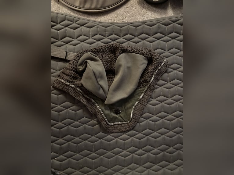 Waldhausen Set grün WB DR