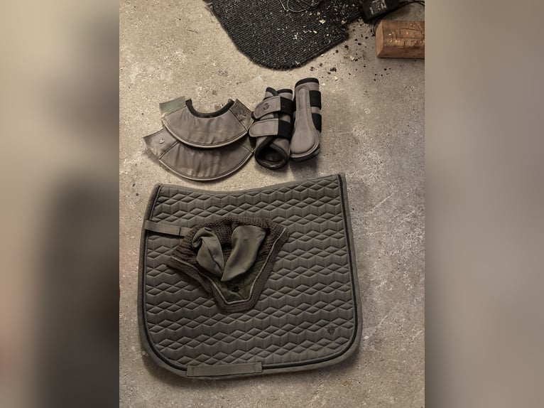 Waldhausen Set grün WB DR