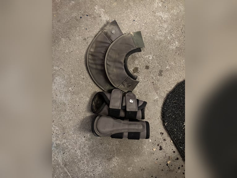 Waldhausen Set grün WB DR