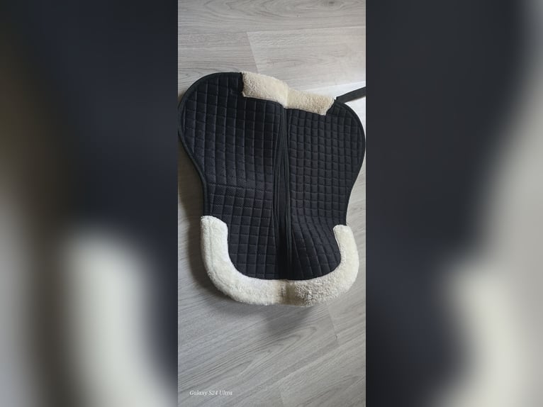 Sattelpad Showmaster