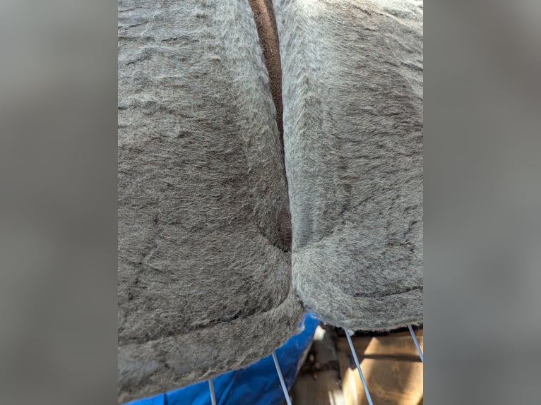 Westernpad Equine classic  sensor flex