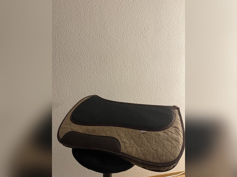 Westernpad Physio Grandeur 