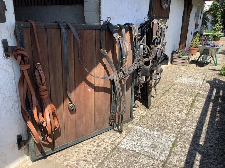 Gut erhaltenes kpl. Zweispännergeschirr