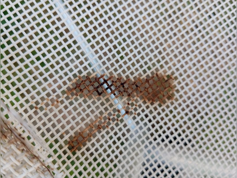 Sattelwagen zusammenklappbar 