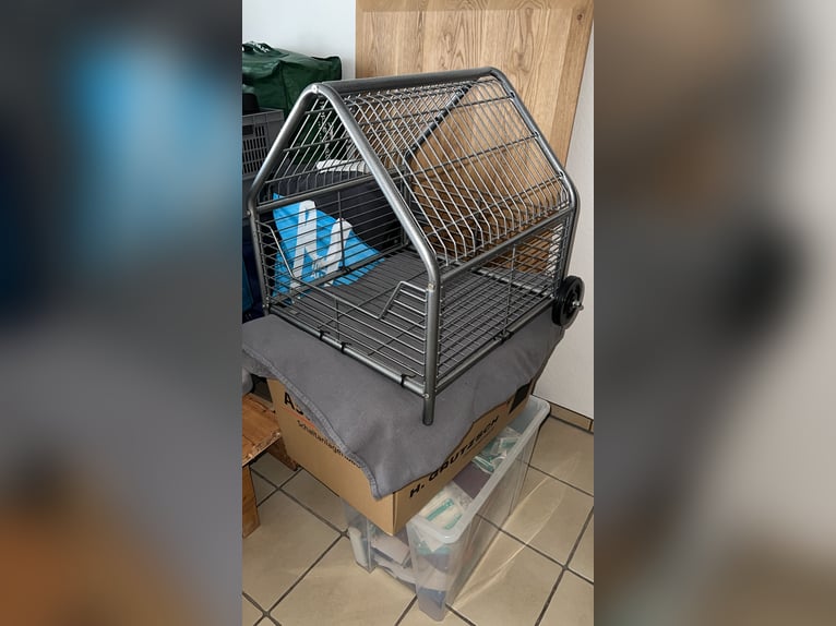 Sattelcaddy für Kofferraum 