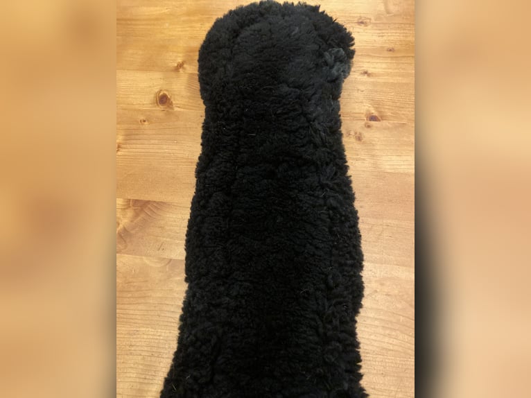 Kurzgurt 50 cm Leder mit Lammfell