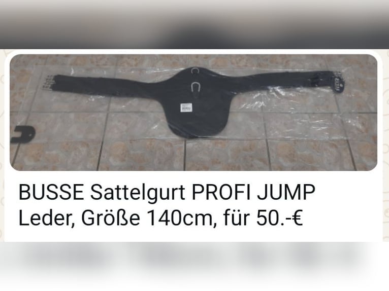 Sattelgurt BUSSE 