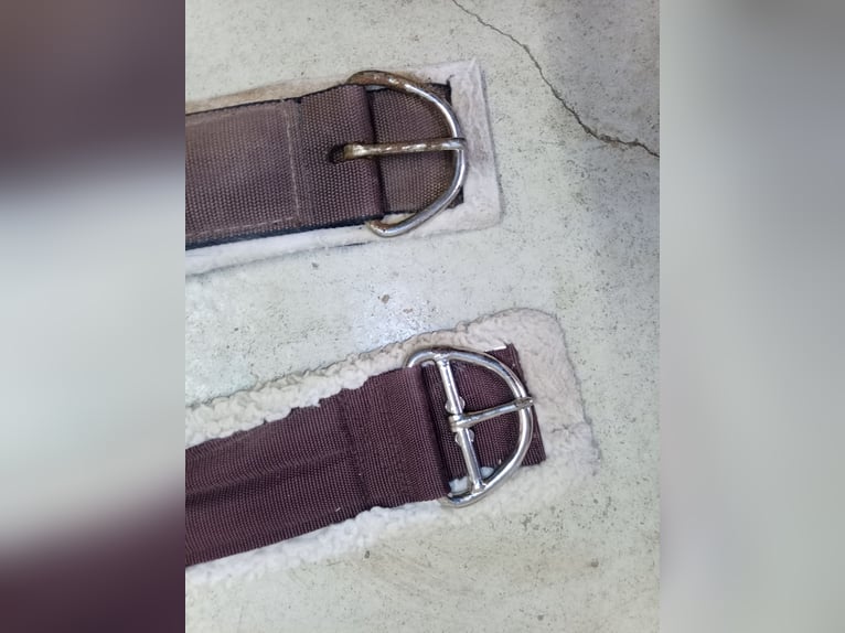 2 Westernsattelgurte abzugeben