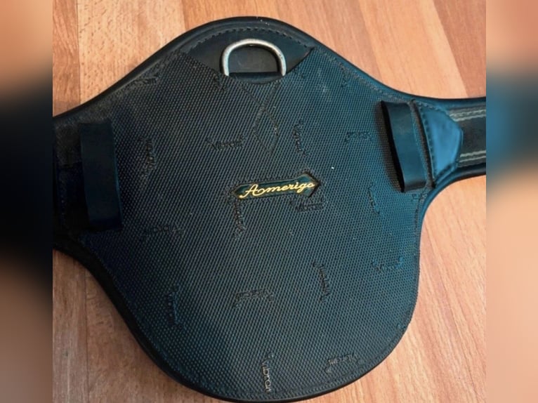 Amerigo Protector Dressur Kurzgurt