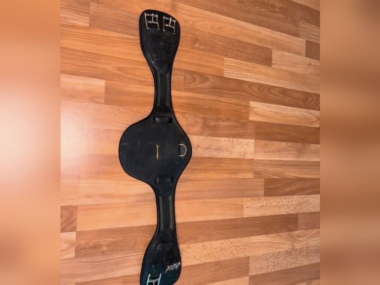 Amerigo Protector Dressur Kurzgurt