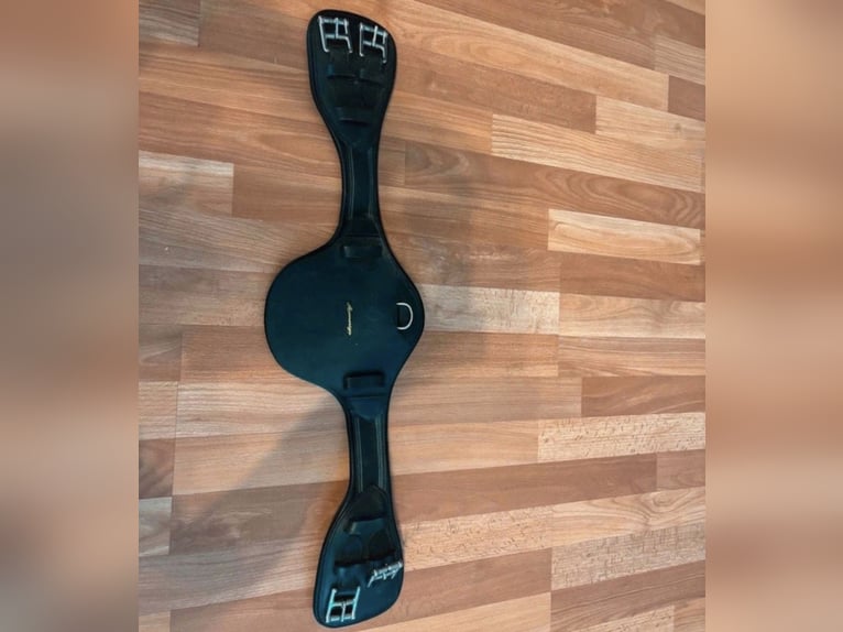 Amerigo Protector Dressur Kurzgurt
