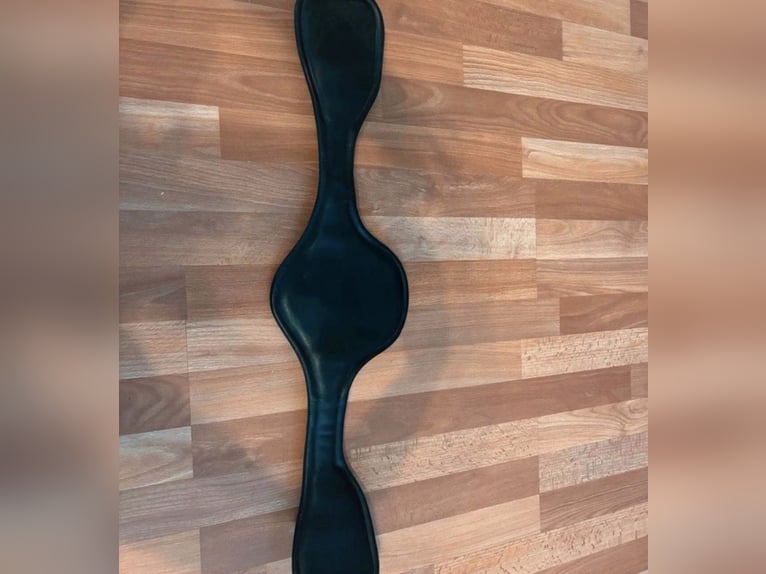 Amerigo Protector Dressur Kurzgurt