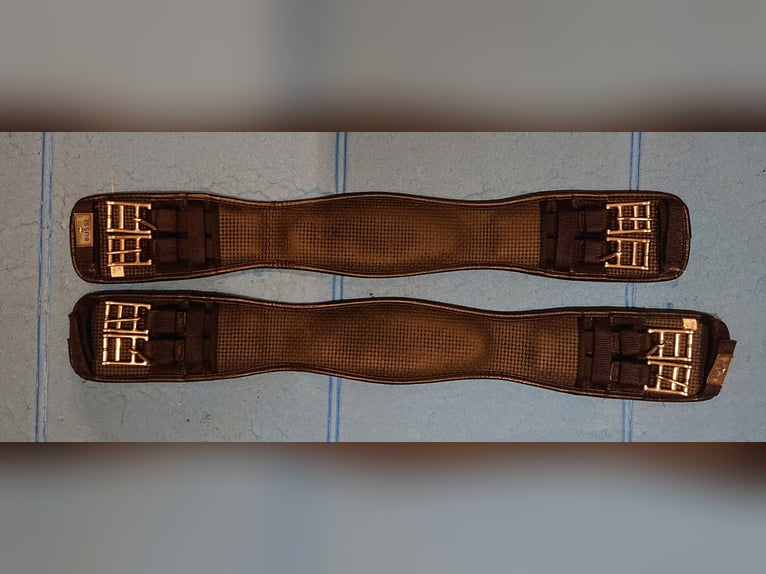 Gel-Kurzgurt von Busse, 65 und 70 cm