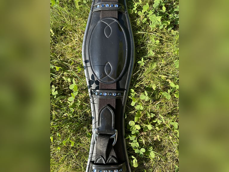 Kurzgurt Lack 65cm