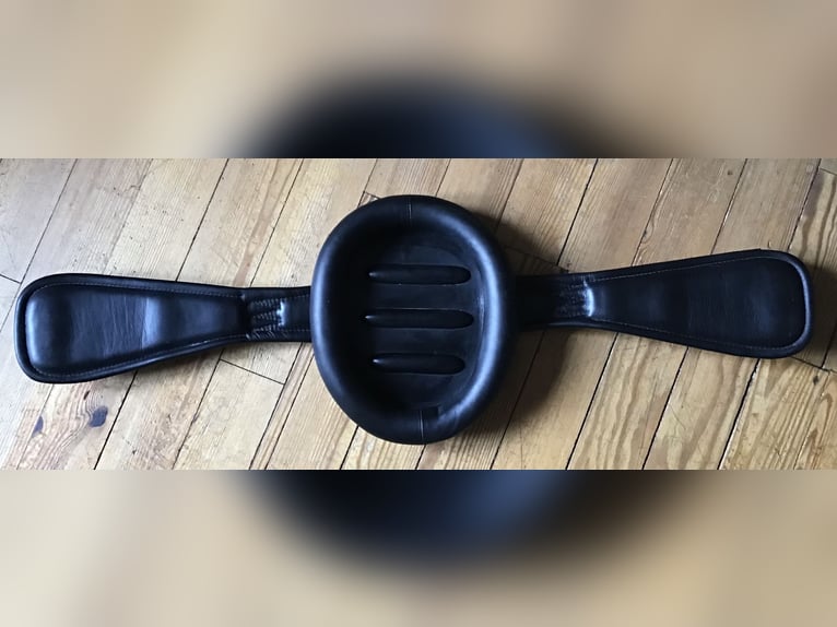 Prestige Ledergurt Kurzgurt RP  Dressage A152