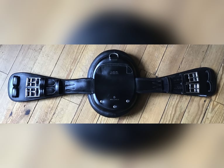 Prestige Ledergurt Kurzgurt RP  Dressage A152