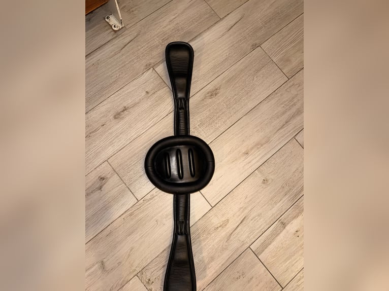 PRESTIGE Sattelgurt Dressurgurt 80 cm