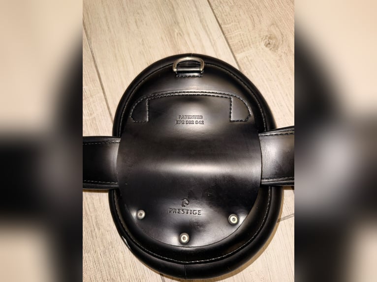 PRESTIGE Sattelgurt Dressurgurt 80 cm
