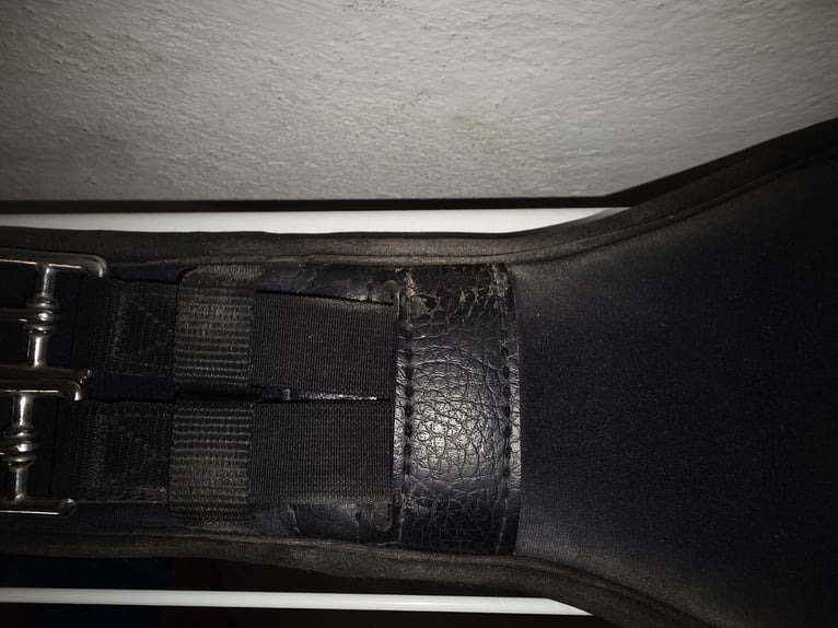 Sattelgurt Kavalkade