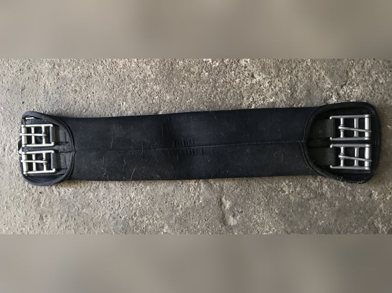 Sattelgurt Showmaster