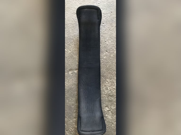 Sattelgurt Showmaster