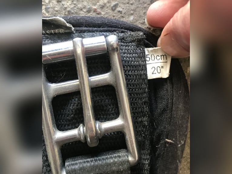 Sattelgurt Showmaster