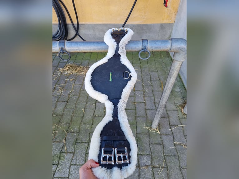 Sattelgurt zu verkaufen