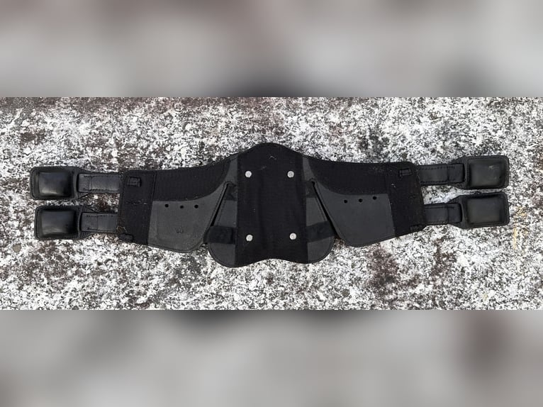 Stübben Equisoft Kurzgurt, 60cm incl. Neoprenpad